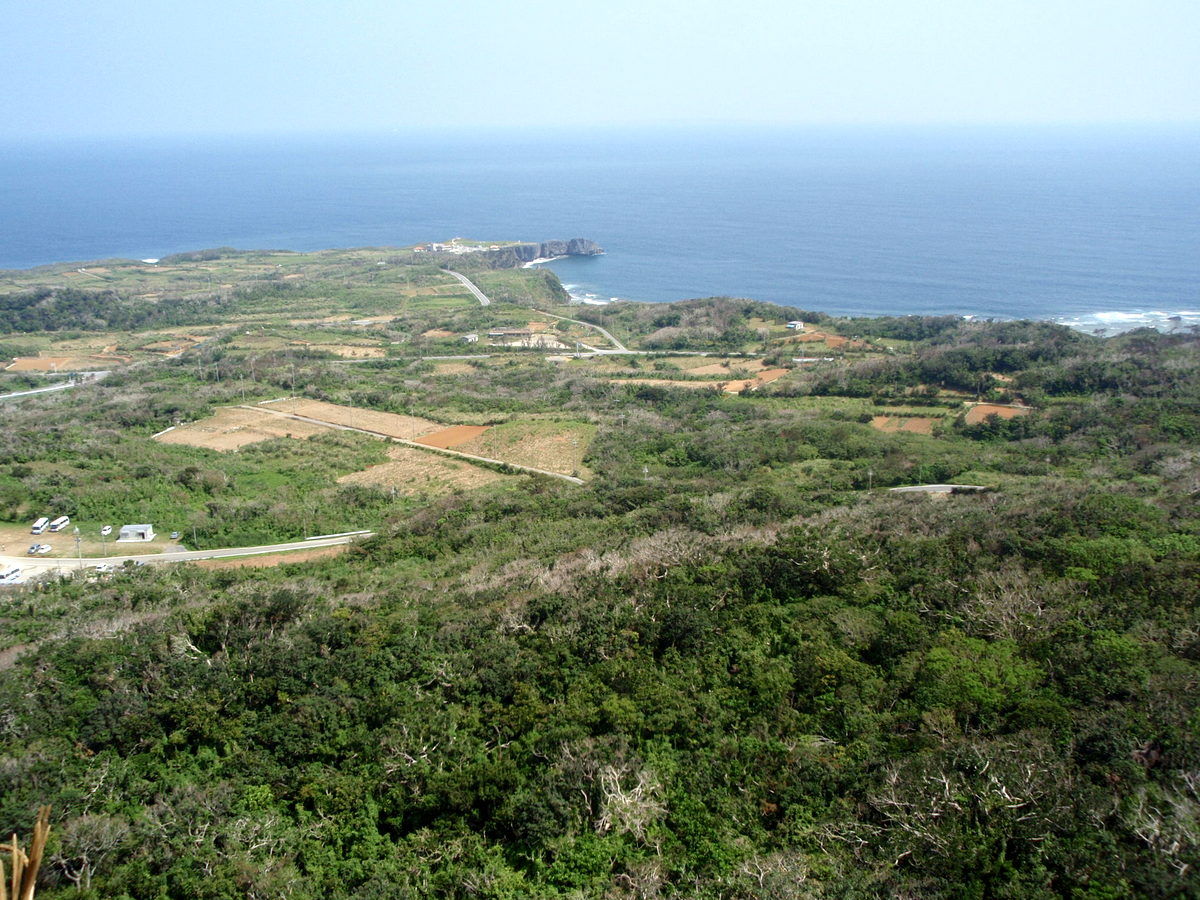 沖縄本島 スピリチュアル紀行 3 大石林山 素直なこころで 知 愚銛 沖縄本島 スピリチュアル紀行 3 大石林山 素直なこころで 知 愚銛