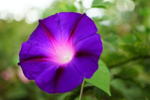 96d8cf9657511788b68f2b0e68026f8a_1602693428