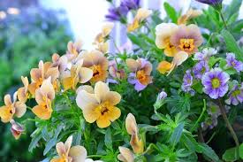 c105a2a18137f1e953cdcd3af0465931