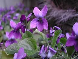 bd2d76c31cd1ae24c00ff2d455205e5950a60e14.77.2.9.2