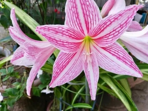 1574031384548_222706_sample-1