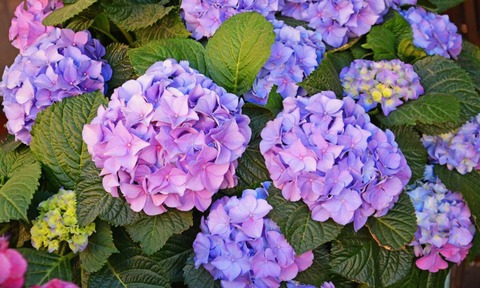 shutterstock_1180976329-min-1024x614