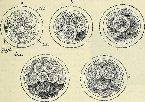 14764696195_6107aaf920_c