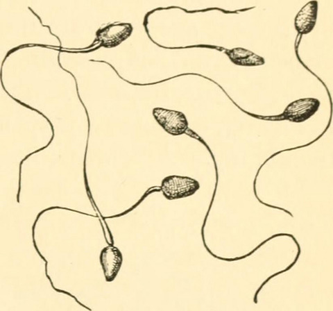 14576659499_9b28ae8894_c
