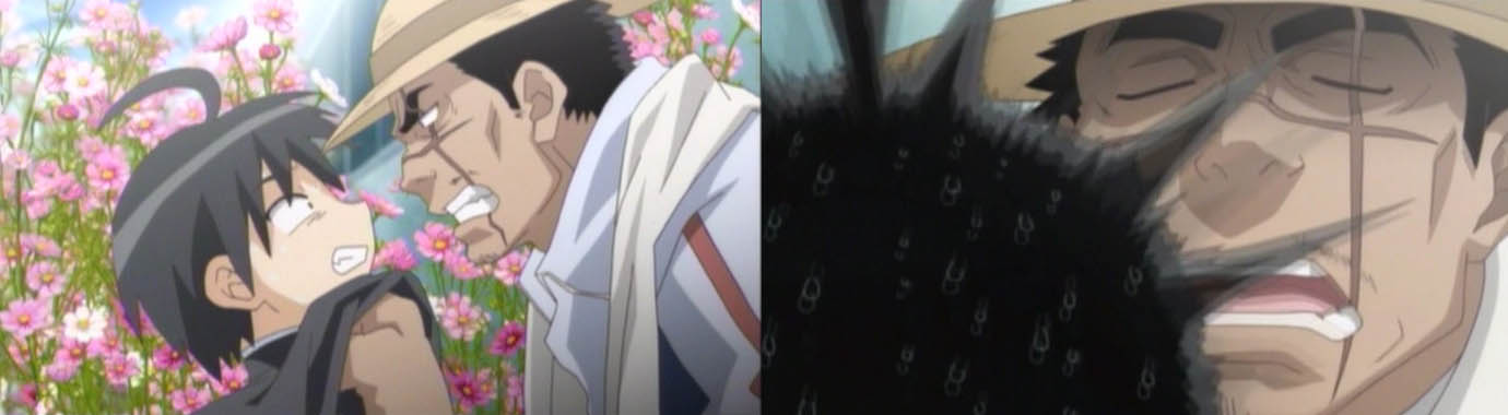 マンガとアニメの感想録とか 瀬戸の花嫁