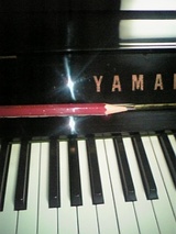 727cb5d8.jpg