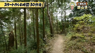 おへんろ。 7話 感想 画像2