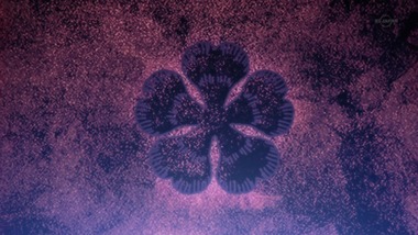 ブラッククローバー 1話感想画像34