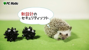 ブレイブウィッチーズ 8話 感想 画像27