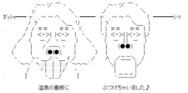 温泉の看板にぶつけたAA画像2