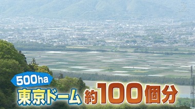 おへんろ。 6話 感想 画像6