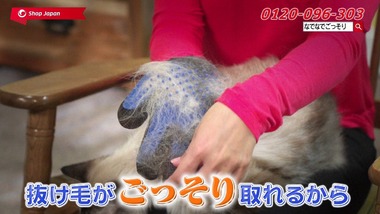 チアフルーツ 12話感想画像0