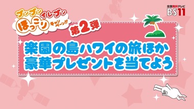 ブンブンイレブンほっこり