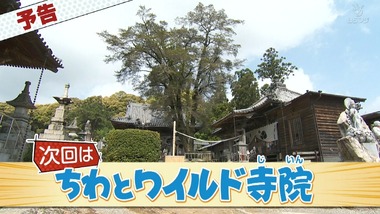 おへんろ。 6話 感想 画像28