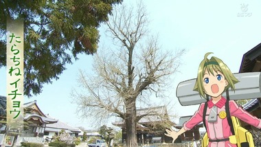 おへんろ。 3話 感想 画像2