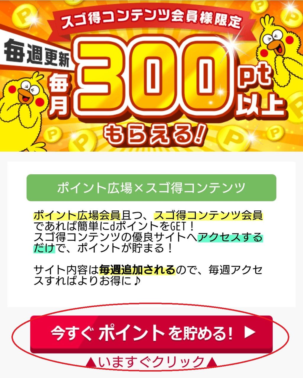 広場 d ポイント