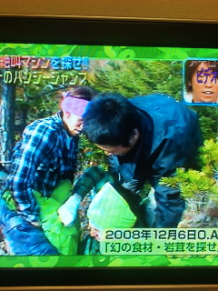 1 31 Can ジャニ All The Way 1 31 Can ジャニ All The Way
