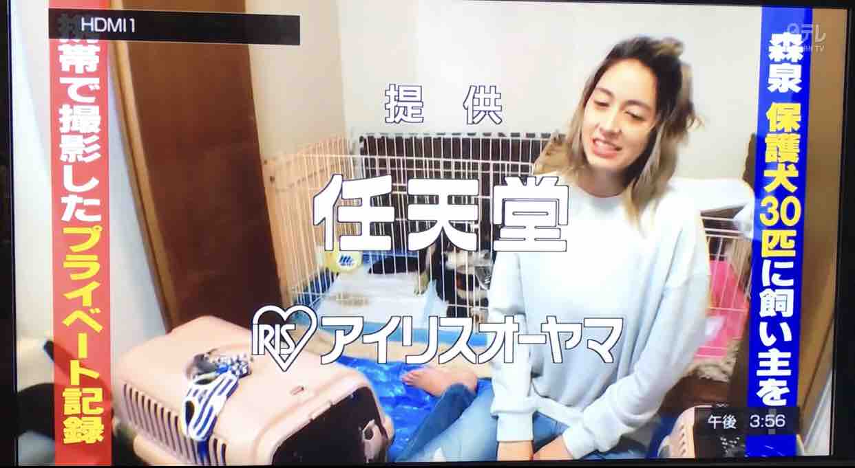 11 23 土 志村どうぶつ園出演のお知らせ 小さな命を守る会 命を