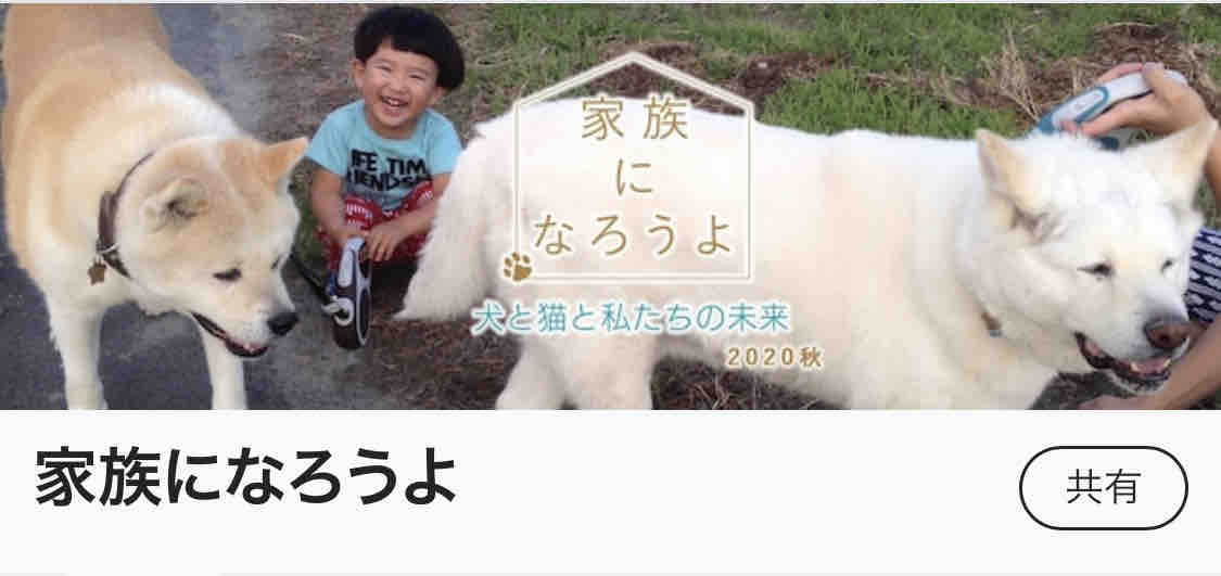 10 10 Nhk Bsプレミアム 家族になろうよ 出演のお知らせ 小さな命を守る会 命をつなごう 10 10 Nhk Bsプレミアム 家族になろうよ 出演のお知らせ 小さな命を守る会 命をつなごう