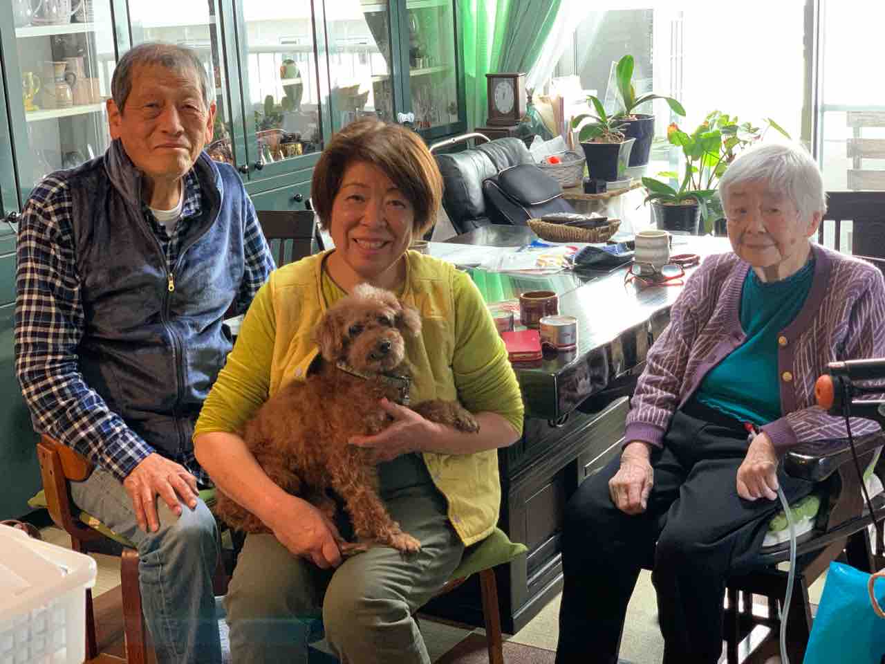 トイプードルりんご 正式譲渡 小さな命を守る会 命をつなごう トイプードルりんご 正式譲渡 小さな命を守る会 命をつなごう