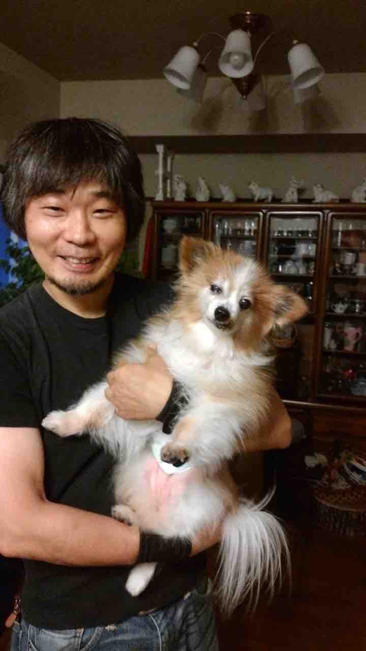 ポメラニアン パピヨンミックスのフォーちゃん 正式譲渡 小さな命を守る会 命をつなごう ポメラニアン パピヨンミックスのフォーちゃん 正式譲渡 小さな命を守る会 命をつなごう