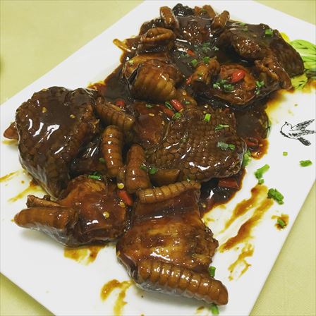 食遊上海365 金龍蛇肉料理 大王蛇と眼鏡蛇 二匹を捌いて蛇尽くしの宴 吃尽天下