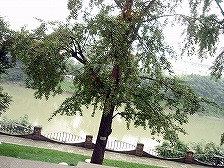 s-PA104367a