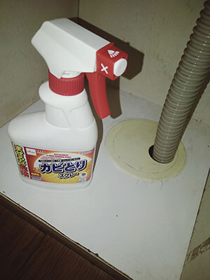 ぶり19