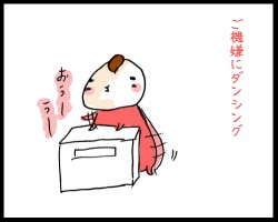 16.jpg