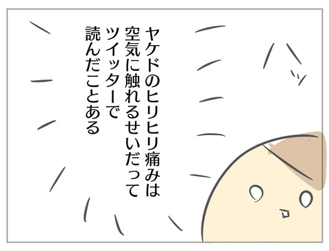 24DD5935-BEE7-48E3-A029-6D433B0D18B6