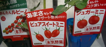 CIMG7833 の補正