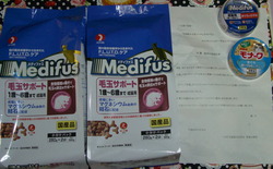 CIMG6109 の補正