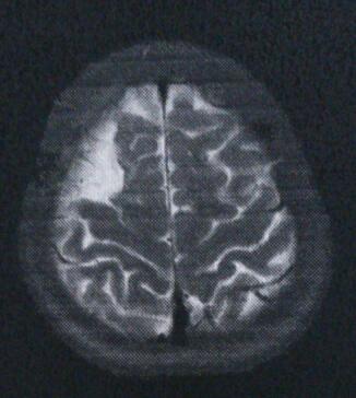 9b1b1314.jpg