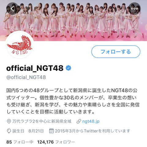 【Twitter】NGT公式のプロフの「卒業生の想いも受け継ぎ」ってところ、いい加減消した方が良くない？
