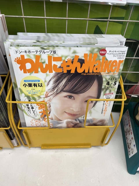 【AKB48】俺氏、ドンキでゆいゆいに遭遇してしまう【小栗有以】