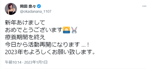 【AKB48】岡田奈々が年末の番組を避けて思い出したように復帰するっておかしくね?