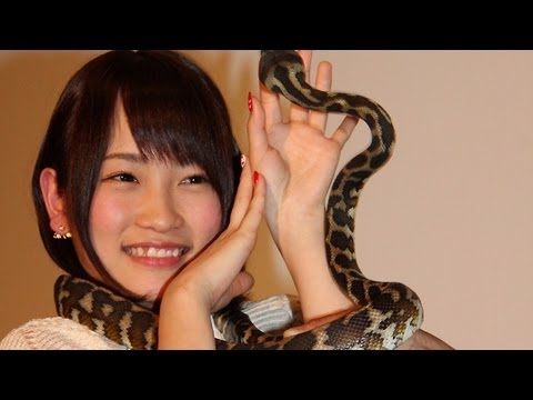爬虫類系のメンバー達を紹介して下さい!