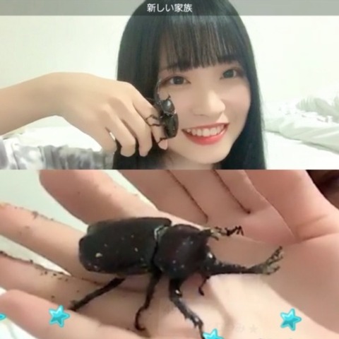 【朗報】SKE48入内嶋涼さん、家族が増える