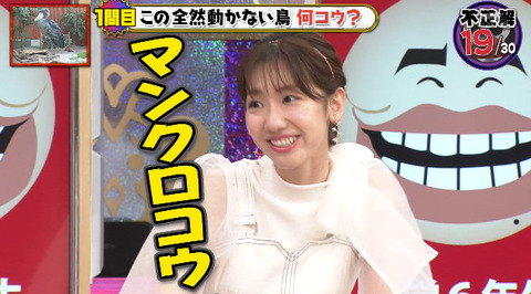 【AKB48】10年以上アイドル頑張った柏木由紀さんが最後に選んだキャラがおバカタレントって・・・