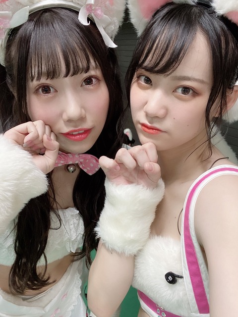 【NMB48】チームNの「N’」公演とJEMINIのクリスマス公演が開催決定！