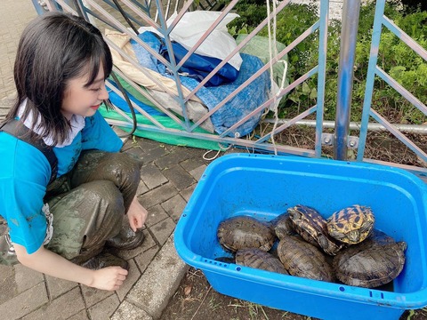 【画像】AKB48の18歳メンバー、亀頭を見て微笑むｗｗｗ