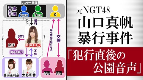 【NGT48暴行事件】音声データ聞いた限りだと強姦目的としか思えないんだが