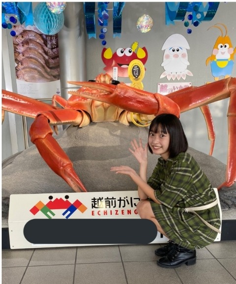 【悲報】福井県の良いところ、「AKB48のチーム8メンバーが可愛い」と「カニが美味しい」くらいしかない…