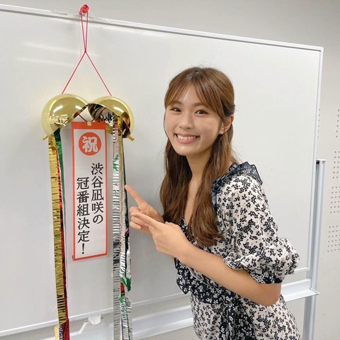 【48G・坂道G】テレビマンが枠に入れておきたい現役アイドルってこんな感じ?