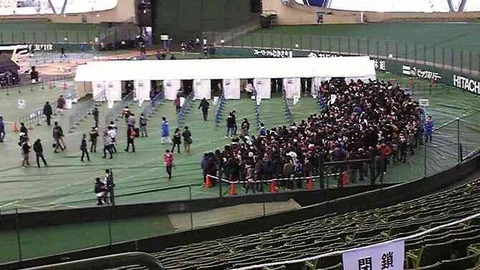 今更だけど松井玲奈ってなんであんなに人気があったの?