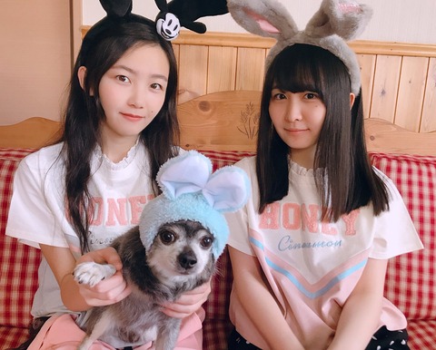 【悲報】AKB48山邊歩夢コロナ感染の影響で姉の東京女子流まで活動停止