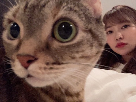 指原莉乃「私は作詞能力というより、いい曲見つけるのが上手いと思う」