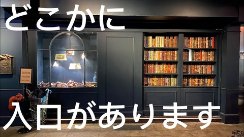 【AKB48】大盛真歩さんという新規の入り口になれるメンバー!!