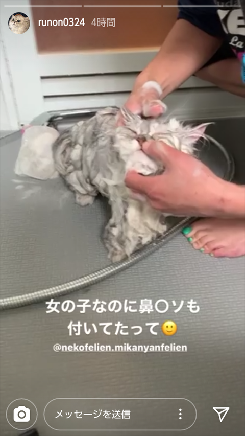 【悲報】AKB48加藤玲奈のマネージャーが世界チャンピオンを煽るｗｗｗ「女の子なのに鼻クソ」
