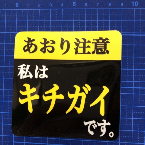 【基地外スレ】俺たちはメンバーに「完璧」を求める